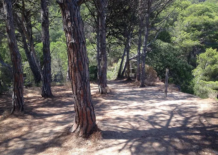 Villa Reymar - Diseno Y Vistas Al Mar